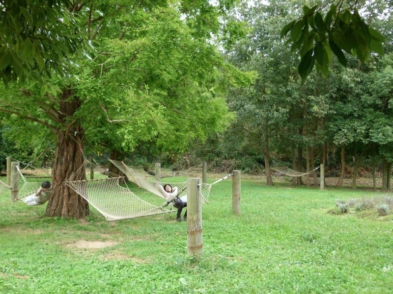 🌸 코잔 라벤더 언덕 구로세 농장 이미지 7
